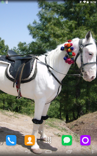How to install White Horse Live Wallpaper patch 1.1.1 apk for bluestacks