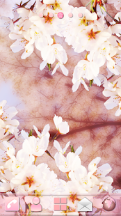 How to install sakura Theme lastet apk for pc