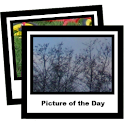 picofday logo