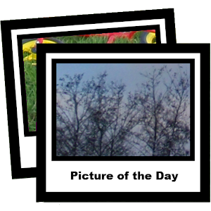 picofday.apk 1.24