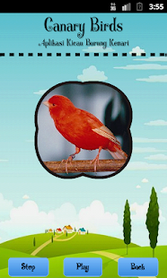 How to mod Canary Birds patch 1.1 apk for laptop