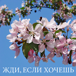 Cover Image of 下载 Жди, если хочешь. Л.Михайлова 3.0 APK