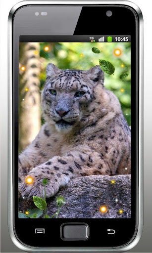 Snow Leopard Sounds HD LWP