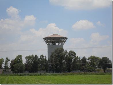 SDC11421