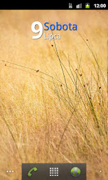 Date Viewer Widget poster 3