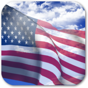 3D US Flag logo