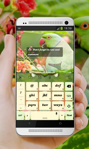 免費下載個人化APP|綠鸚鵡 TouchPal Theme app開箱文|APP開箱王