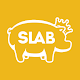 SLAB BBQ APK