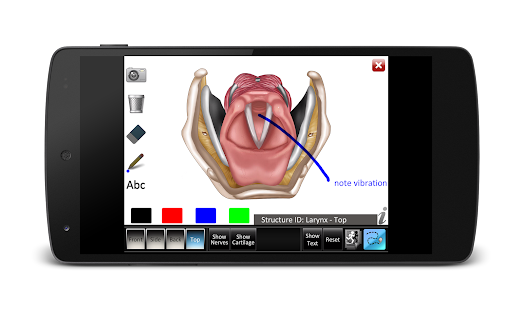 Larynx ID Screenshots 14
