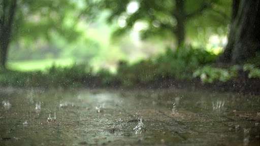 Raindrops Live Wallpaper