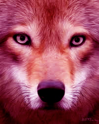 Logo of Bootstrap Flagstaff Amber