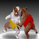 Sumo Dogs Live Wallpaper