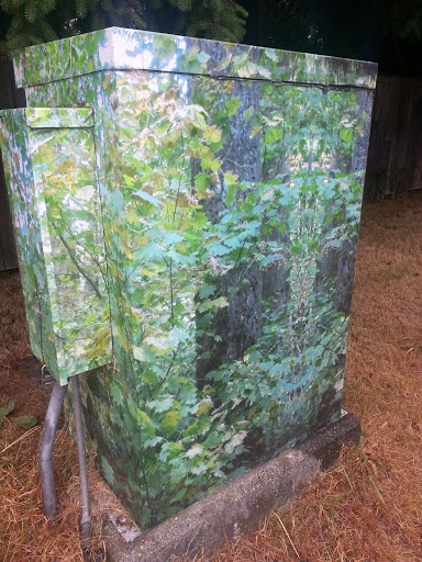 Nordel Green Box