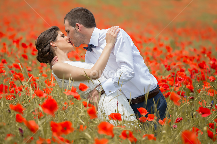 makovnjača by Ante Gašpar - Wedding Bride & Groom