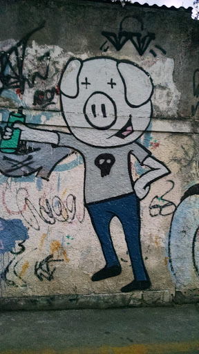 Arte De Rua Porco 