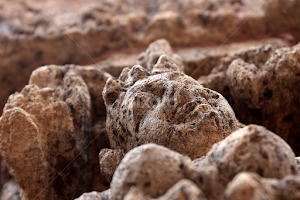 Statues of Konark by Radeeh Ramesan -  