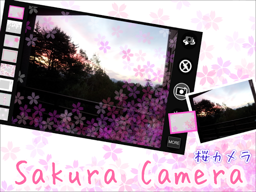 Sakura Camera 桜カメラ