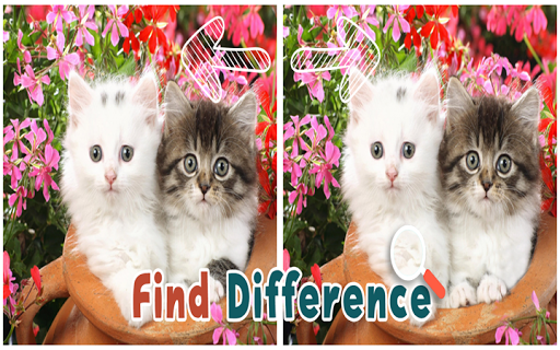 【免費益智App】Find 5 Difference : Cats-APP點子