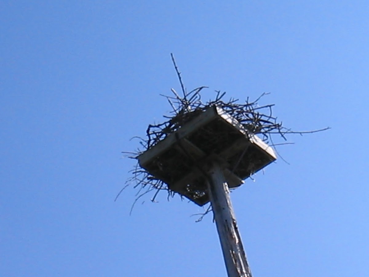 Osprey nesting structure