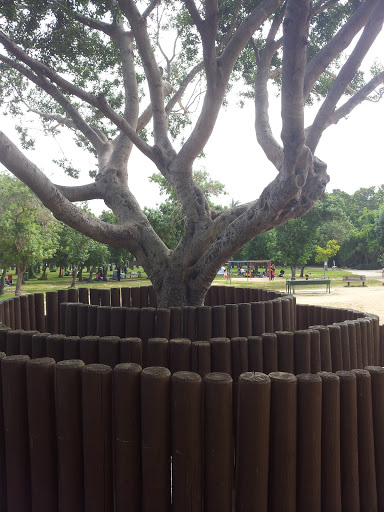 Circle Maze Tree