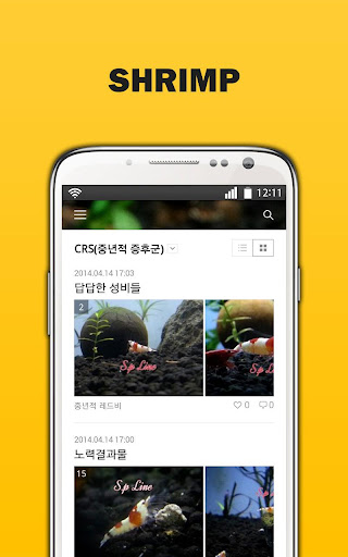 【免費購物App】중고차 딜러 유태욱 - 새우 캠핑 자전거 자동차-APP點子