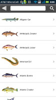 Anteprima screenshot di Gulf State Fishing Regulations APK #3