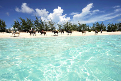 Horseback riding, hiking and nature walks are as popular as the beaches and snorkeling at Half Moon Cay, one  of about 700 islands that make up the Bahamas.