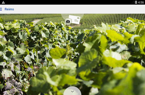Reims Champagne  Tour Screenshots 3