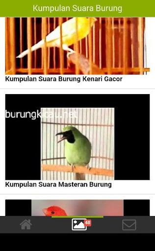 Kicau Burung Juara