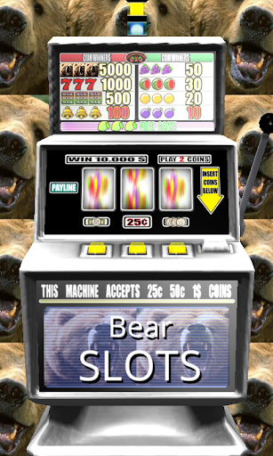 Bear Slots - Free