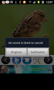 How to install Birds Sounds (3D) 1.2 apk for android