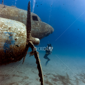 Sunken Dakota Aircraft by Rico Besserdich - Transportation Airplanes