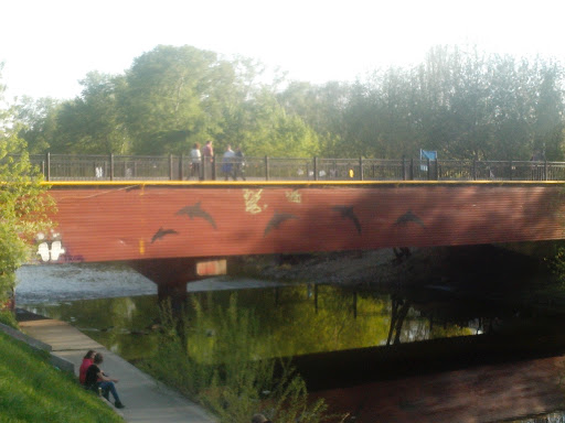 Dolphin Graffiti on the Bridge