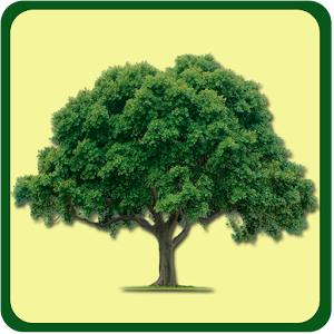 Natural Sciences.apk 5.0.0.0
