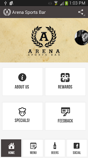 Arena 13