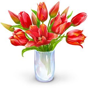 Flowers Wallpapers 1.0