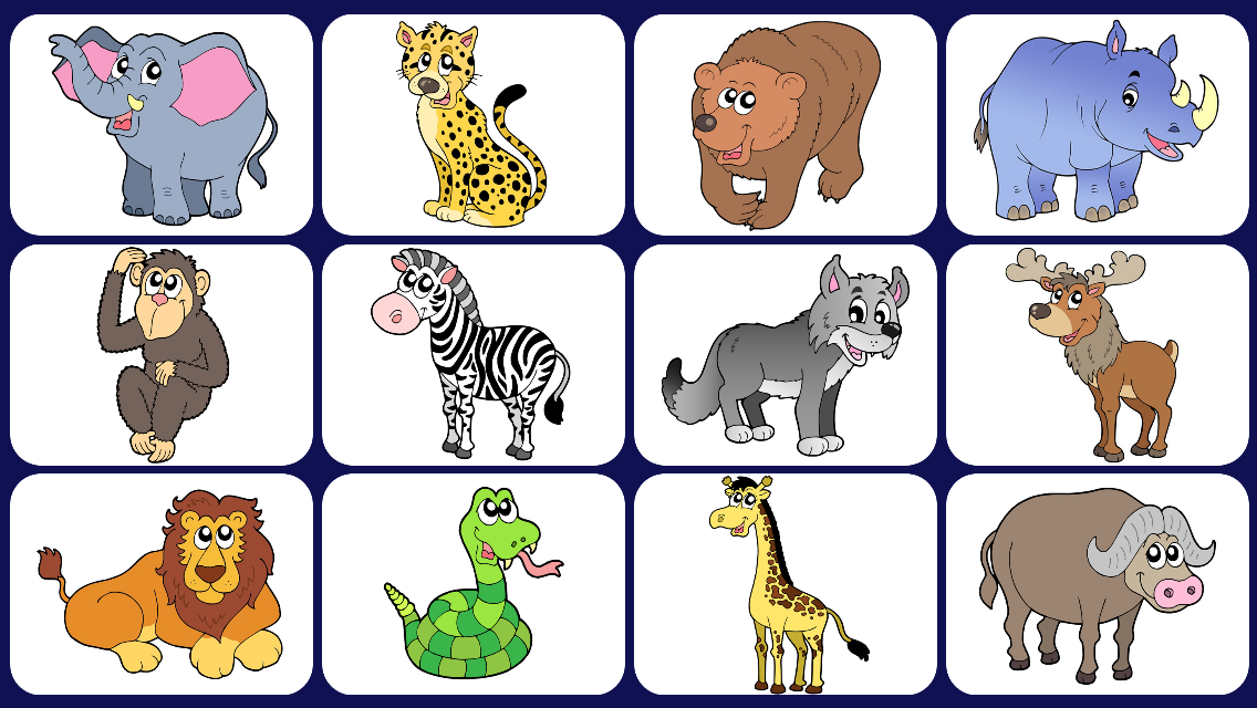 Video Touch - Wildlife - Android Apps on Google Play
