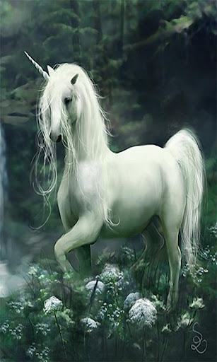 Unicorn Live Wallpaper