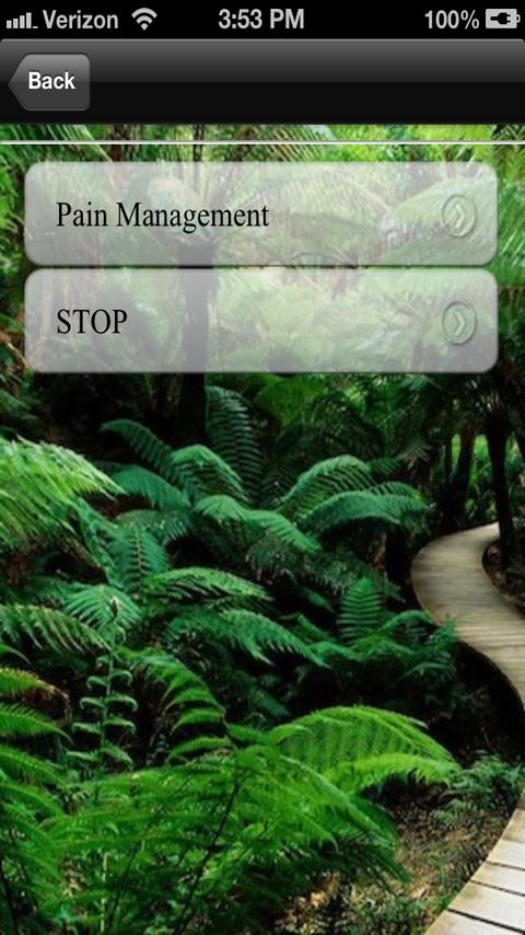 Chronic Pain Screen 2