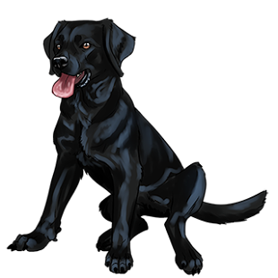 How to mod WS: Labrador patch 1.0 apk for laptop
