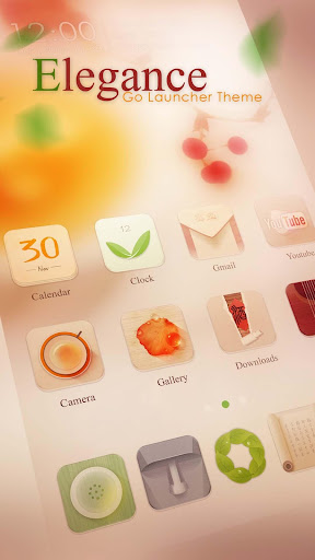 Elegance GO Launcher Theme