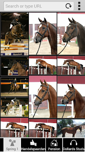 Download DE DOLLARD MANEGE WINSCHOTEN APK for Android