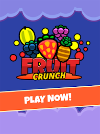 Fruit Crunch by SK Studios poster 10