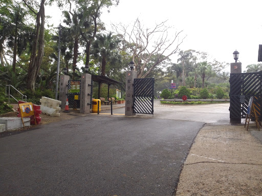 Lion Rock Park