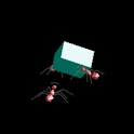 Ants