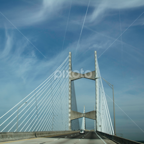 Dames Point Bridge by Judy Hall-Folde - Buildings & Architecture Bridges & Suspended Structures