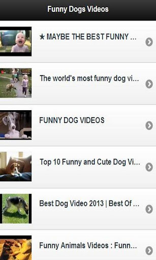 Funny Dogs Videos