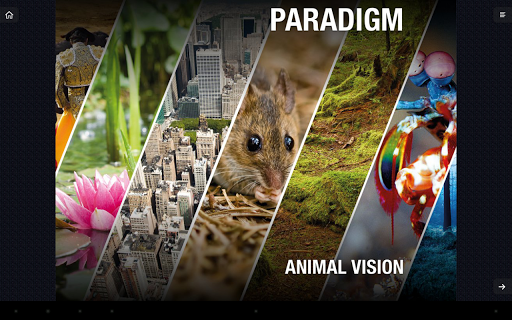 Animal Vision. Popular Science