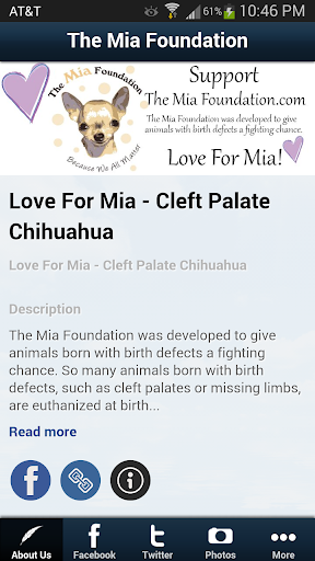 The Mia Foundation