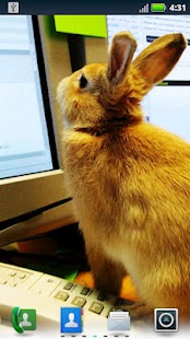 How to get Studious Pets Live Wallpaper patch 3.6.0.0 apk for bluestacks